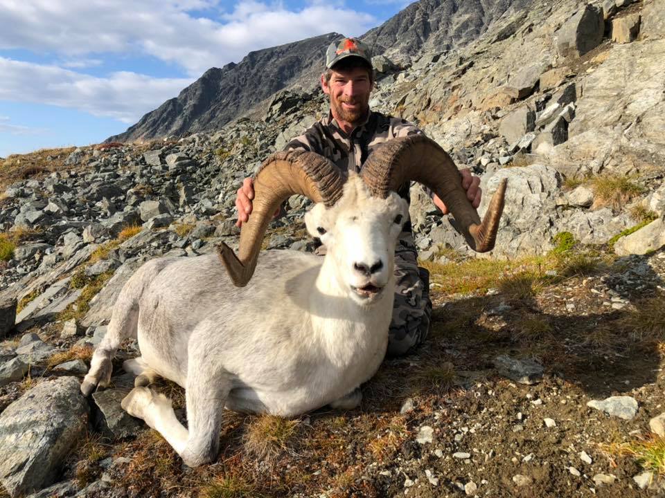 A mountain goat on a cliff