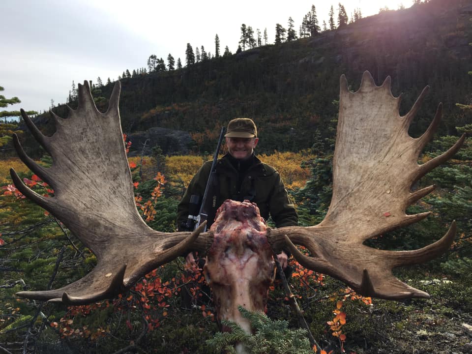 A large moose standing by the water